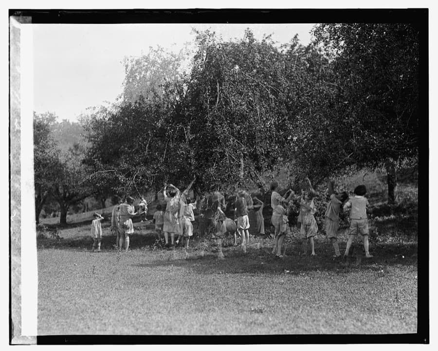 Children at the Christ Child Society Fresh Air Farm, Rockville, Maryland (1926; Library of Congress). Associated historical visual for Servant of God Mary Virginia Merrick.