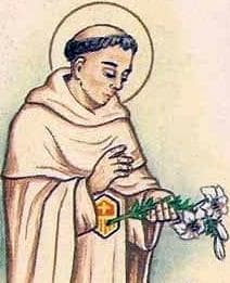 Detail Of An Italian Holy Card Of Blessed Dionisio De Santarem By Bertoni Date Unknown