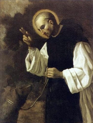 Detail Of An Oil Painting Of Blessed Stefano Del Lupo By Carl Borromäus Andreas Ruthart Late 17Th Century The Painting Is In The National Museum In LAquila Italy And The Image Was
