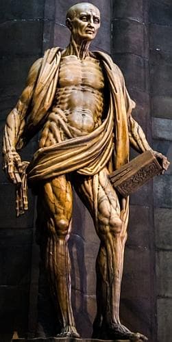 The Statue Saint Bartholomew Flayed By Marco DAgrate 1562 Milan Cathedral Milan Italy Photographed On 8 July 2014 By Hjl