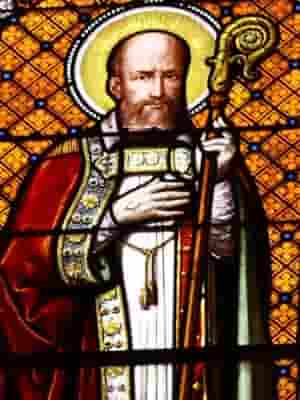 Saint Francis De Sales