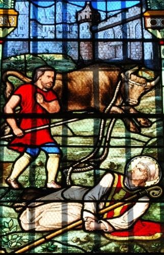 Detail of Stained Glass Window of The Martyrdom of Saint Saturninus 1887 Artist Unknown Church of SaintSaturnin De Cardan Gironde France Photographed On 20 September 2015 By William Ellison