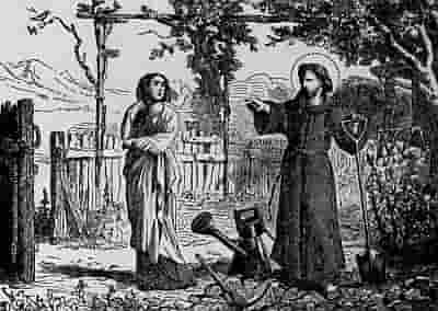 Saint Serenus The Gardener