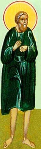 Saint Theodore Trichinas