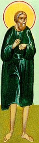 Saint Theodore Trichinas