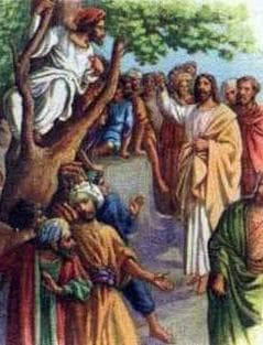 Saint Zacchaeus The Publican